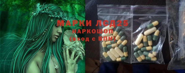 эйфоретик Алзамай