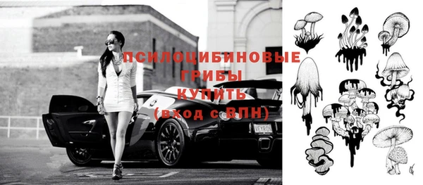 дживик Алексин
